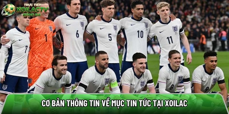 Cơ bản thông tin về giới thiệu trang xem bóng đá online 