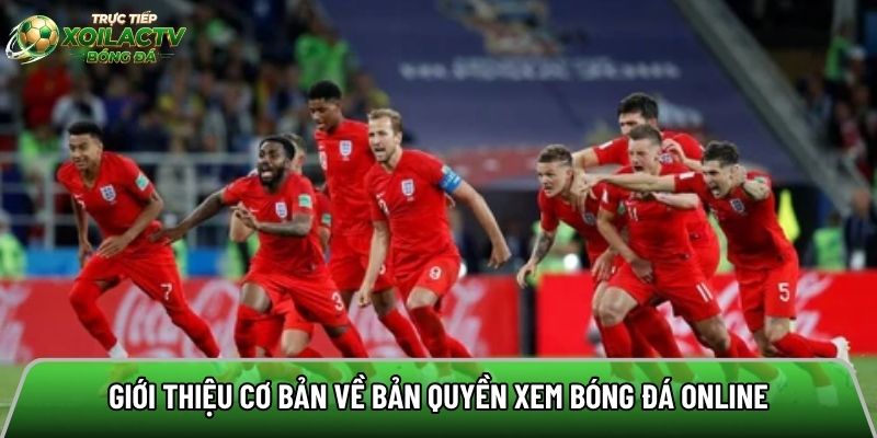 Giới thiệu cơ bản về bản quyền xem bóng đá online