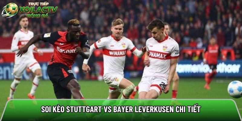 Soi kèo Stuttgart vs Bayer Leverkusen chi tiết