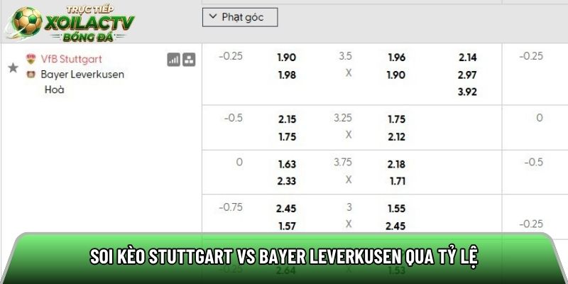 Soi kèo Stuttgart vs Bayer Leverkusen qua tỷ lệ