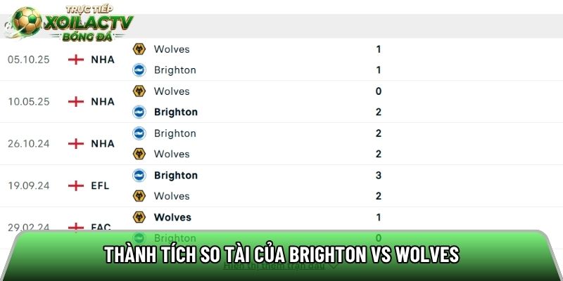 Thành tích so tài của Brighton vs Wolves